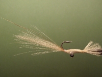 Eyes-n-Tubes Flouro fibre Bone Meal (shrimp)