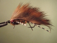 Mike's fly2