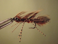 Mike's fly4
