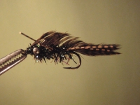 Mike's fly5