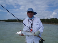 Bahamian bonefish 2012