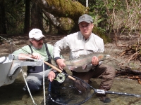Cowichan River steelhead