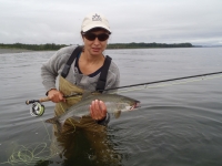 pink salmon