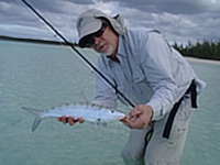 Bahamian bone 2012