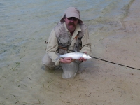 Bonefish
