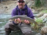 Cowichan River brown trout