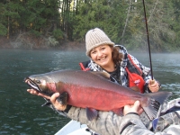 Cowichan river coho