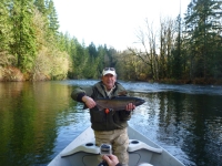 Cowichan coho