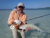 Bahamian bonefish 2012