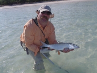 Bahamian bonefish 2012