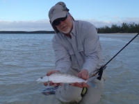Bahamian bonefish 2012