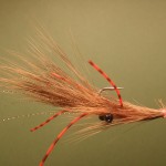 Eyes-n-Tubes Cowichan Crayfish